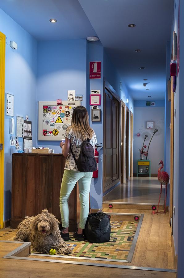Balenax Pension Gijón Dış mekan fotoğraf